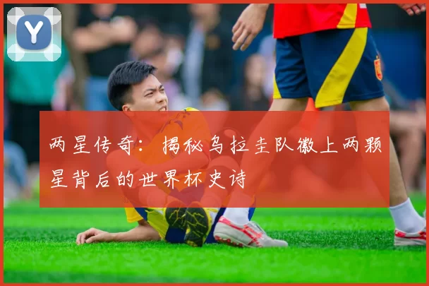 两星传奇:揭秘乌拉圭队徽上两颗星背后的世界杯史诗