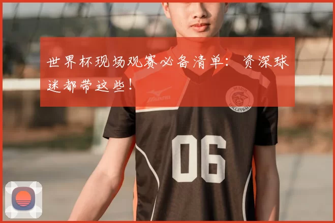 世界杯现场观赛必备清单:资深球迷都带这些!