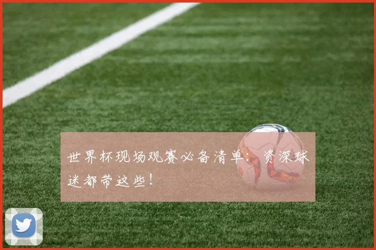 世界杯现场观赛必备清单:资深球迷都带这些!