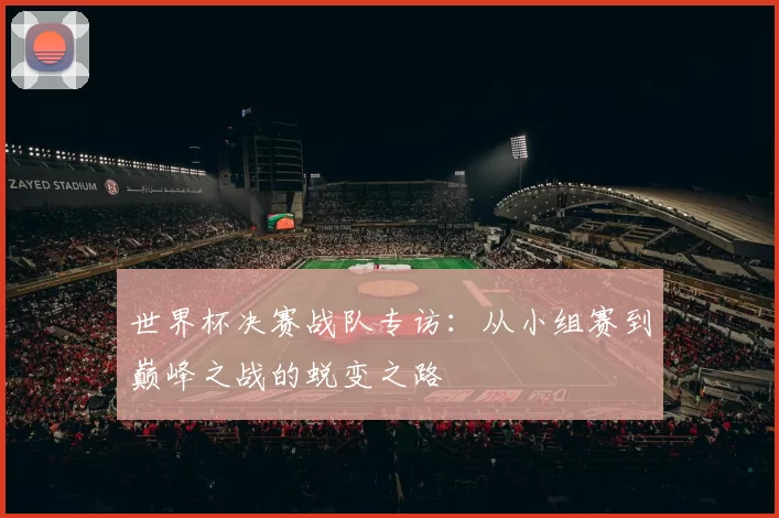 世界杯决赛战队专访：从小组赛到巅峰之战的蜕变之路