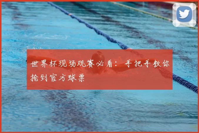 世界杯现场观赛必看:手把手教你抢到官方球票