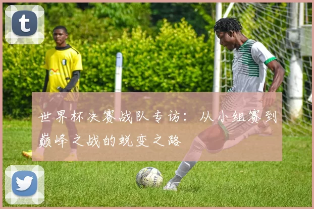 世界杯决赛战队专访：从小组赛到巅峰之战的蜕变之路