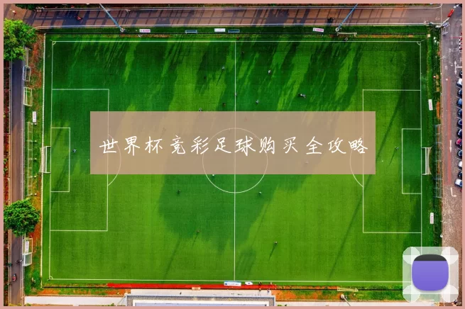世界杯竞彩足球购买全攻略