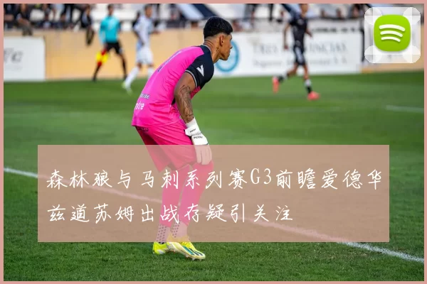 森林狼与马刺系列赛G3前瞻爱德华兹道苏姆出战存疑引关注