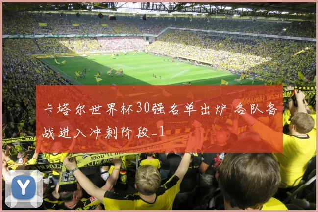 卡塔尔世界杯30强名单出炉 各队备战进入冲刺阶段_1