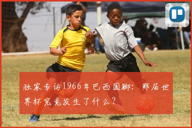 独家专访1966年巴西国脚:那届世界杯究竟发生了什么?