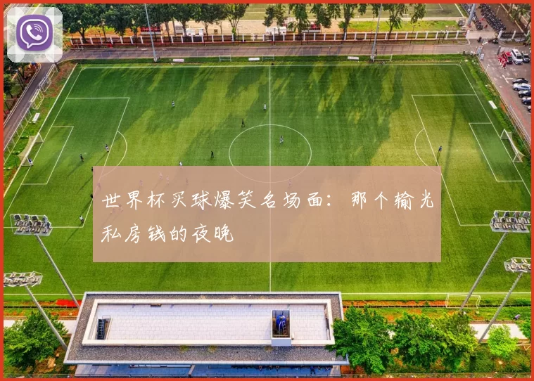 世界杯买球爆笑名场面:那个输光私房钱的夜晚