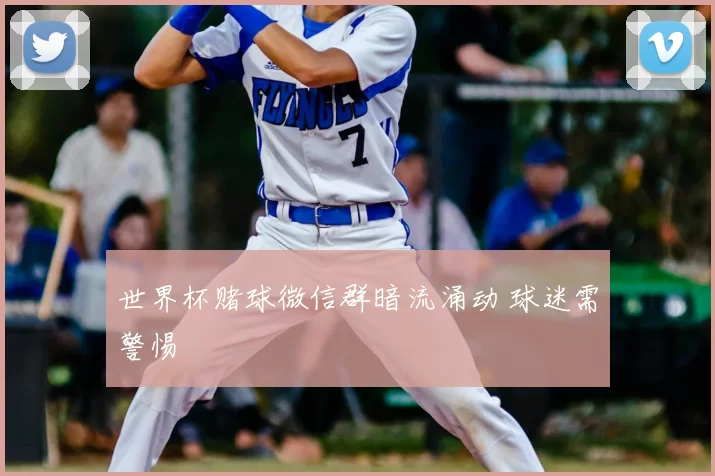 世界杯赌球微信群暗流涌动 球迷需警惕