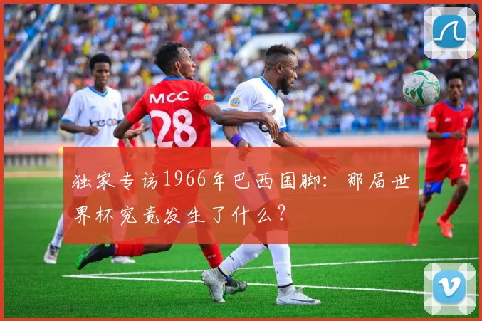 独家专访1966年巴西国脚：那届世界杯究竟发生了什么？