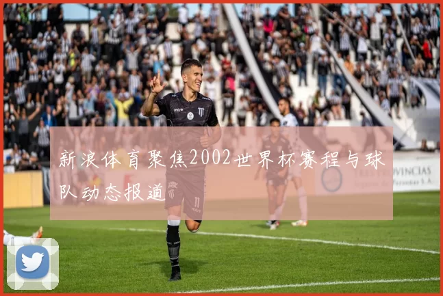 新浪体育聚焦2002世界杯赛程与球队动态报道